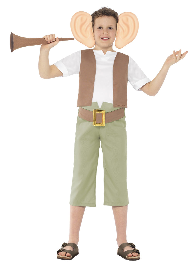 Roald Dahl BFG Friendly Giant World Book Week Costume Character Fancy Dress