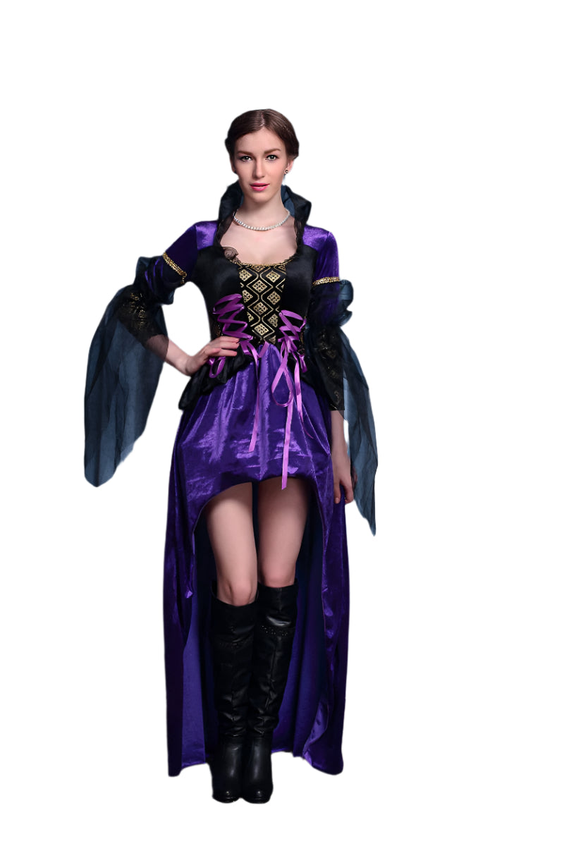 Ladies Vintage Renaissance Medieval Halloween Costume