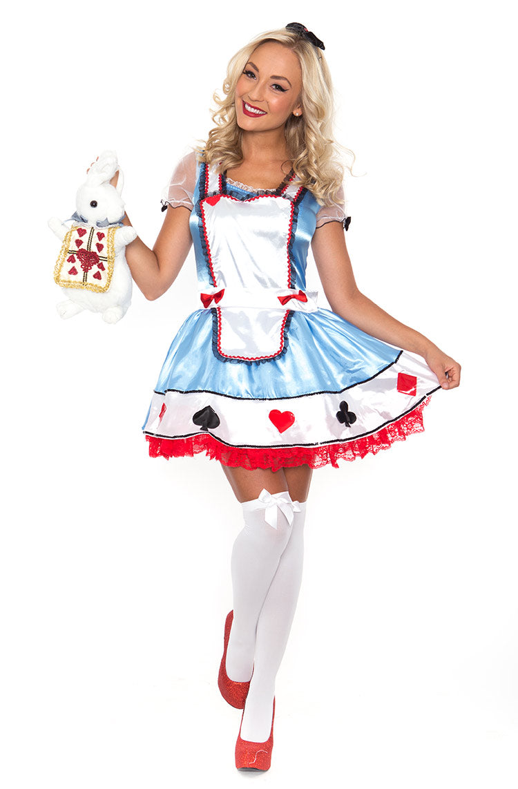 Alice in Wonderland Fancy Dress Costume