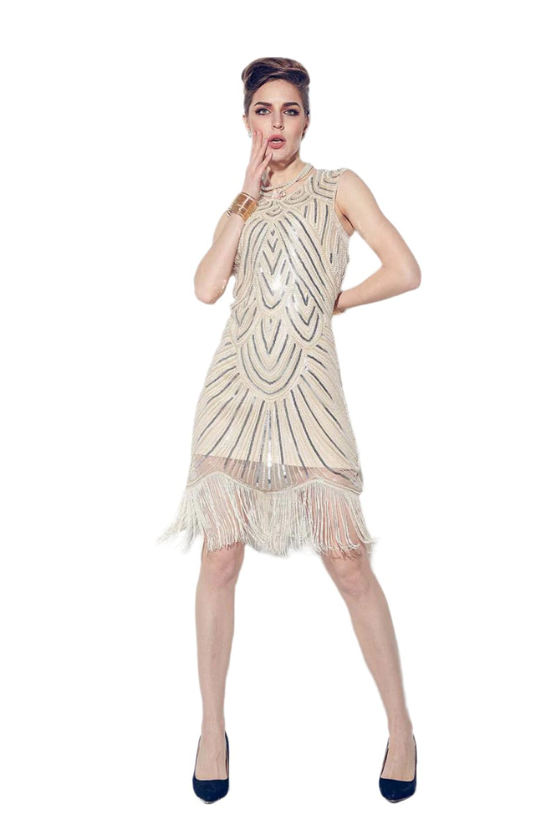 1920s Great Gatsby Style Dress Costume