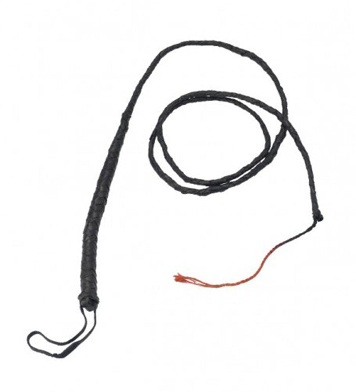 Ladies Catwoman Whip Costume Accessories