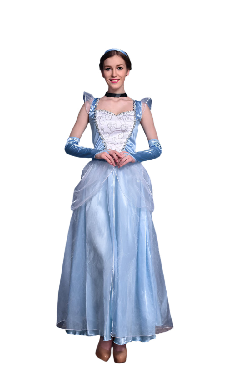 Disney Cinderella Princess Costume